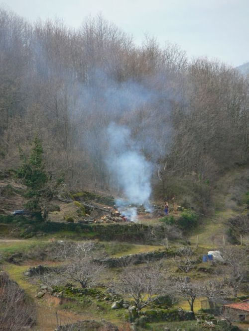 Fotografia de FOTO digitalhambra - Galeria Fotografica: Valle del Jerte - Foto: 