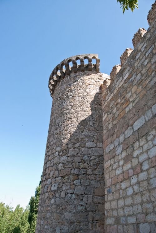 Fotografia de FOTO digitalhambra - Galeria Fotografica: Almazn - Foto: 