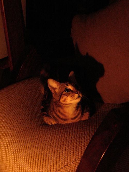 Fotografia de Monotone Pictures - Galeria Fotografica: Eugene - Foto: 