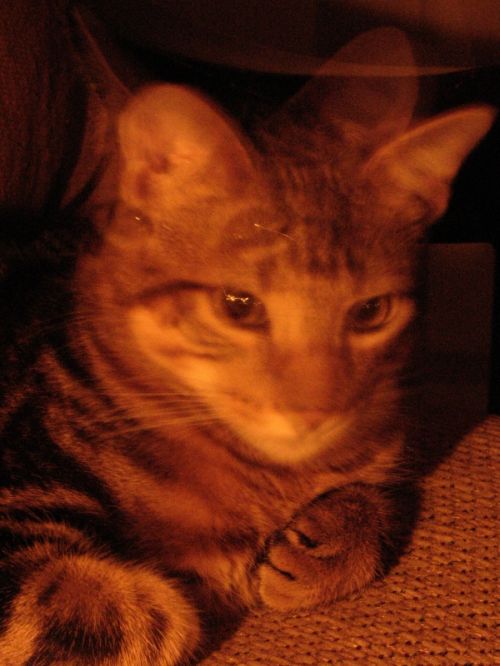 Fotografia de Monotone Pictures - Galeria Fotografica: Eugene - Foto: 