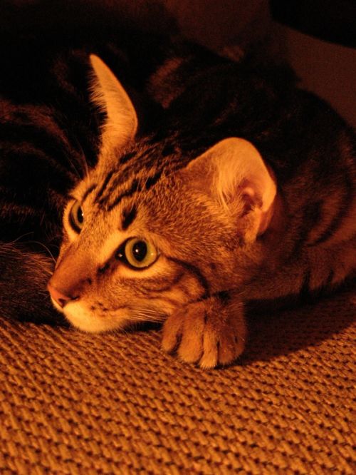 Fotografia de Monotone Pictures - Galeria Fotografica: Eugene - Foto: 