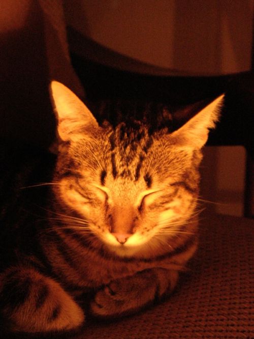 Fotografia de Monotone Pictures - Galeria Fotografica: Eugene - Foto: 