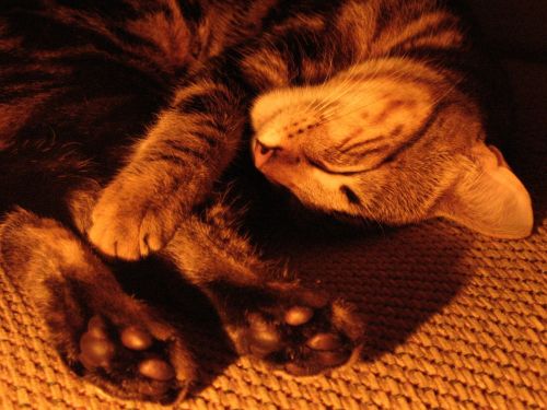 Fotografia de Monotone Pictures - Galeria Fotografica: Eugene - Foto: 