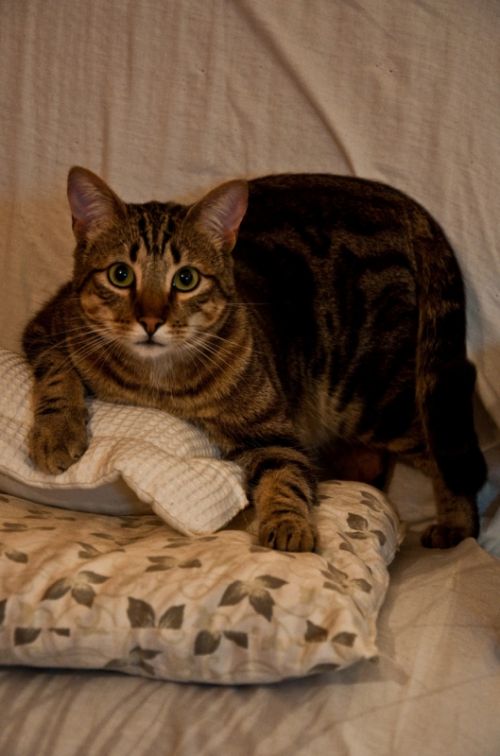 Fotografia de Monotone Pictures - Galeria Fotografica: Eugene - Foto: 