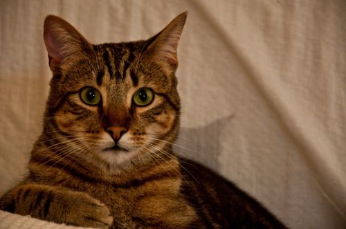 Fotografia de Monotone Pictures - Galeria Fotografica: Eugene - Foto: 