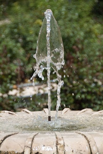 Fotografia de FOTO digitalhambra - Galeria Fotografica: Rosaleda Madrid - Foto: 