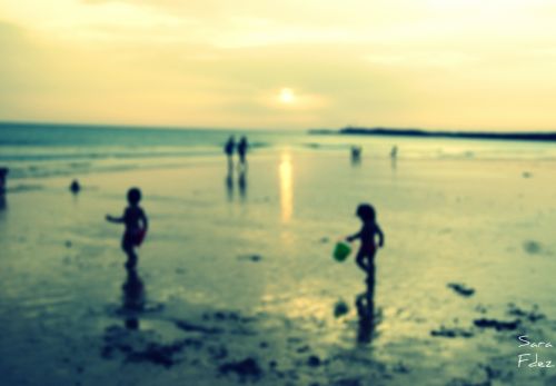 Fotografia de Photograph in the world - Galeria Fotografica: the paradaise - Foto: 