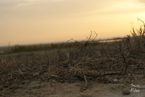 Fotografia de Photograph in the world - Galeria Fotografica: the paradaise - Foto: 