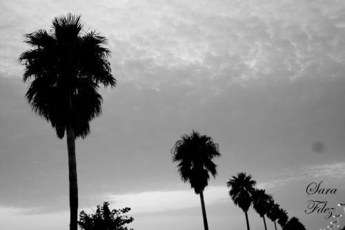 Fotografia de Photograph in the world - Galeria Fotografica: the paradaise - Foto: 