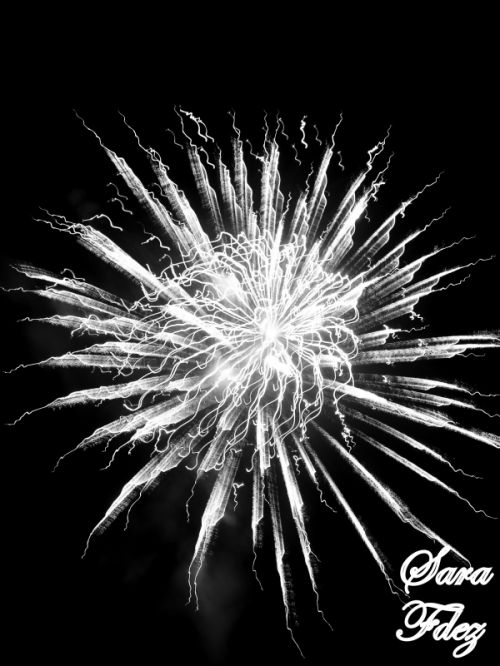 Fotografia de Photograph in the world - Galeria Fotografica: Black & white - Foto: 