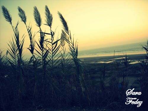 Fotografia de Photograph in the world - Galeria Fotografica: the paradaise - Foto: 