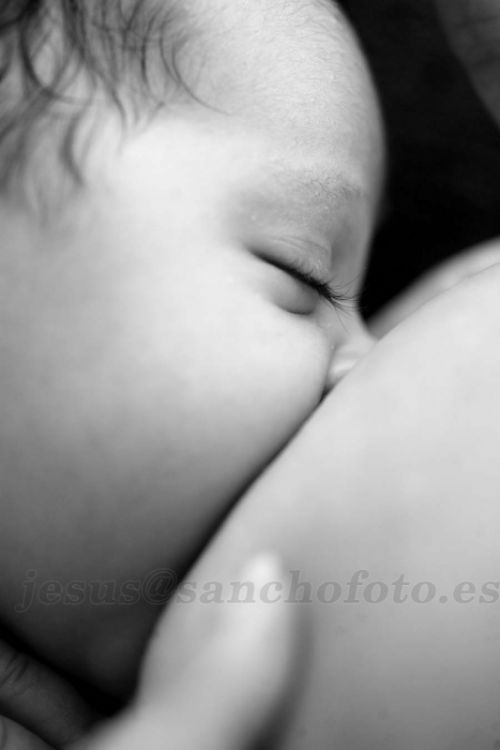 Fotografia de Sanchofoto S.C. - Galeria Fotografica: FOTO BOOK - Foto: Retratos , bebe