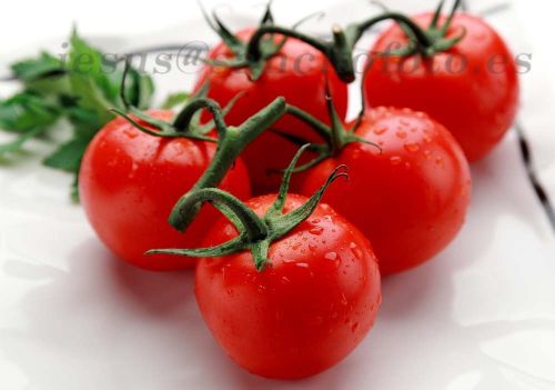 Fotografia de Sanchofoto S.C. - Galeria Fotografica: PUBLICIDAD / PRODUCTO / ALIMENTACION - Foto: ALIMENTACION 3