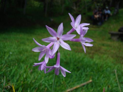 Fotografia de egarita - Galeria Fotografica: Ventanas - Foto: Fmina