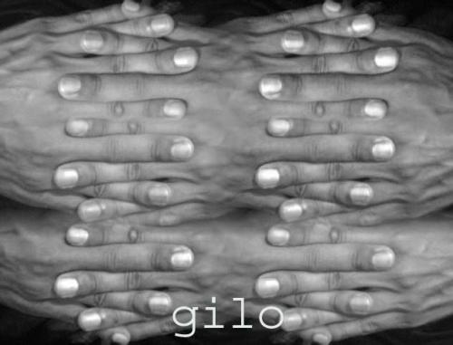 Fotografia de GiLo - Galeria Fotografica: less is more - Foto: hands
