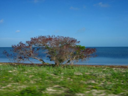 Fotografia de diana - Galeria Fotografica: en conracto con la naturaleza - Foto: movimiento