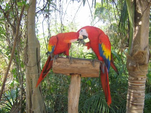 Fotografia de diana - Galeria Fotografica: en conracto con la naturaleza - Foto: encanto