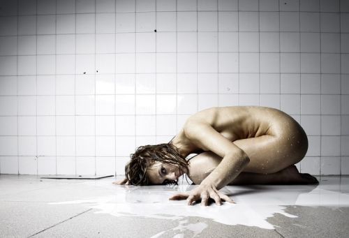 Fotografia de Jose DaSilva - Galeria Fotografica: Encuentros Cruzados - Foto: 