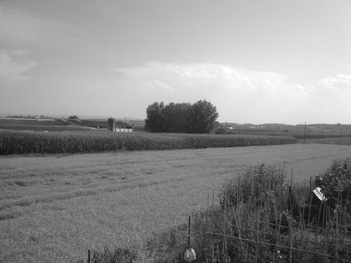 Fotografia de cris - Galeria Fotografica: el pozo - Foto: 