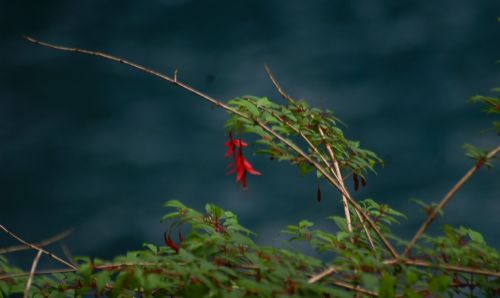 Fotografia de momentos graficos - Galeria Fotografica: la fuerza del Caburga - Foto: 