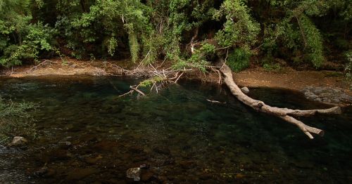 Fotografia de momentos graficos - Galeria Fotografica: la fuerza del Caburga - Foto: 