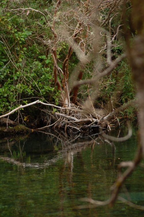 Fotografia de momentos graficos - Galeria Fotografica: la fuerza del Caburga - Foto: 