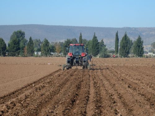Fotografia de PhotoJohn - Galeria Fotografica: Aguascalientes (agricultura) - Foto: 