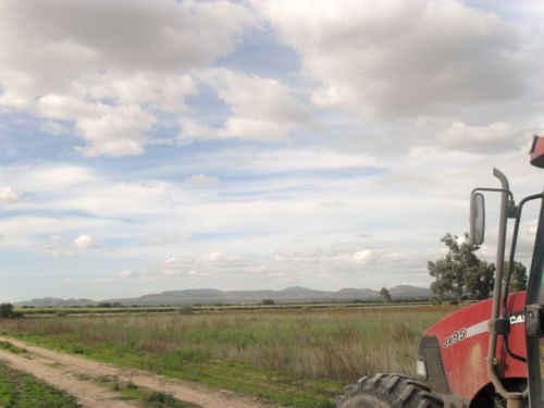 Fotografia de PhotoJohn - Galeria Fotografica: Aguascalientes (agricultura) - Foto: 