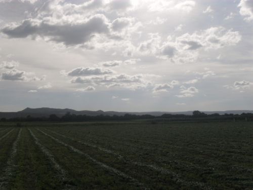 Fotografia de PhotoJohn - Galeria Fotografica: Aguascalientes (agricultura) - Foto: 