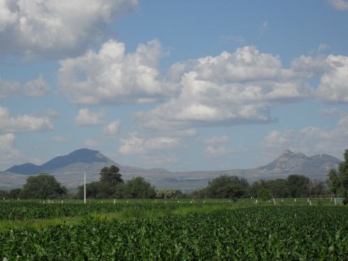 Fotografia de PhotoJohn - Galeria Fotografica: Aguascalientes (agricultura) - Foto: 