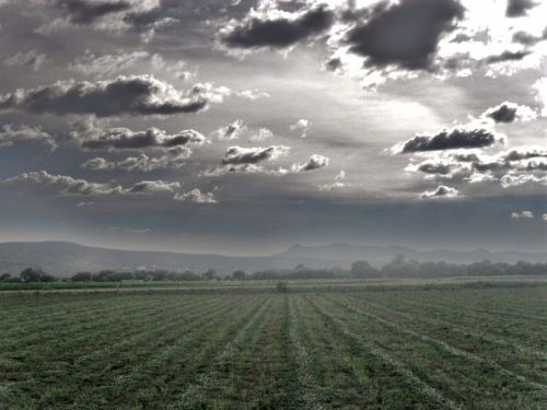 Fotografia de PhotoJohn - Galeria Fotografica: Aguascalientes (agricultura) - Foto: 
