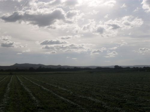 Fotografia de PhotoJohn - Galeria Fotografica: Aguascalientes (agricultura) - Foto: 