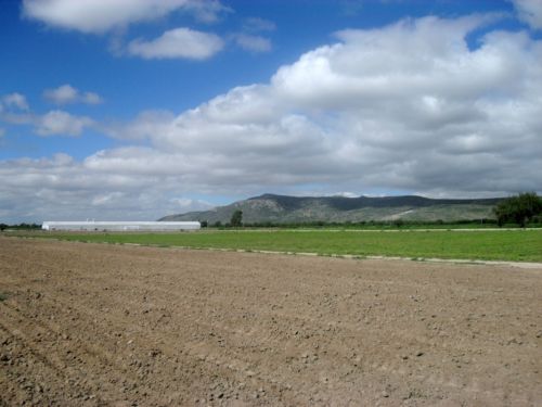 Fotografia de PhotoJohn - Galeria Fotografica: Aguascalientes (agricultura) - Foto: 