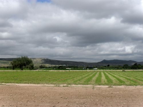 Fotografia de PhotoJohn - Galeria Fotografica: Aguascalientes (agricultura) - Foto: 