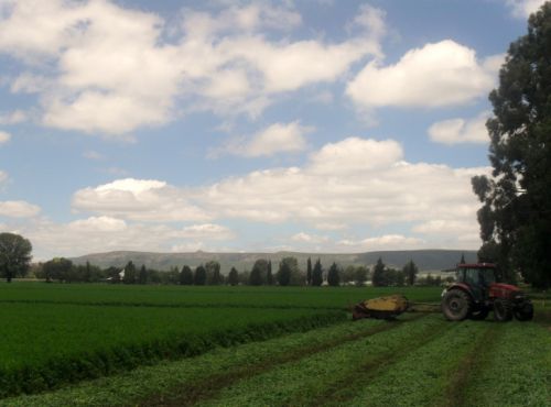 Fotografia de PhotoJohn - Galeria Fotografica: Aguascalientes (agricultura) - Foto: 