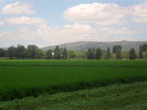 Fotografia de PhotoJohn - Galeria Fotografica: Aguascalientes (agricultura) - Foto: 