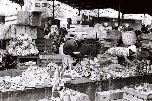 Fotografia de Nany da Costa - Galeria Fotografica: africa - Foto: 