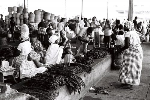 Fotografia de Nany da Costa - Galeria Fotografica: africa - Foto: 