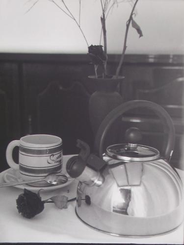 Fotografia de asgarfihs - Galeria Fotografica: Este es un nuevo mundo - Foto: cafe para dos