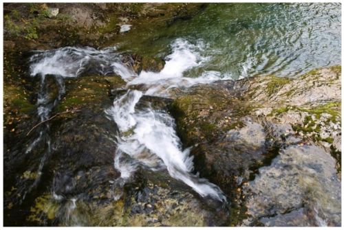 Fotografia de Nichamer - Galeria Fotografica: Ordesa - Foto: Arazas