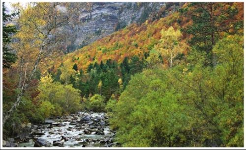 Fotografia de Nichamer - Galeria Fotografica: Ordesa - Foto: 