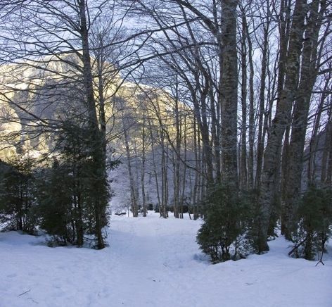 Fotografia de Nichamer - Galeria Fotografica: Ordesa - Foto: 