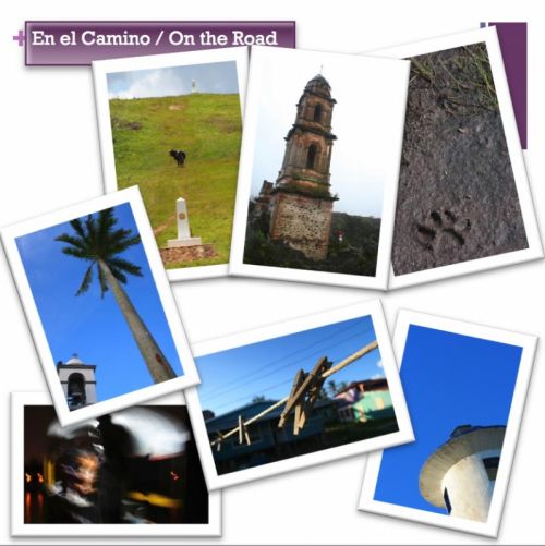 Fotografia de ArD Comunicacin - Galeria Fotografica: Book - Foto: En el camino