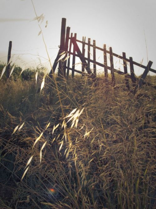 Fotografia de Pedraxas - Galeria Fotografica: Lugares - Foto: 