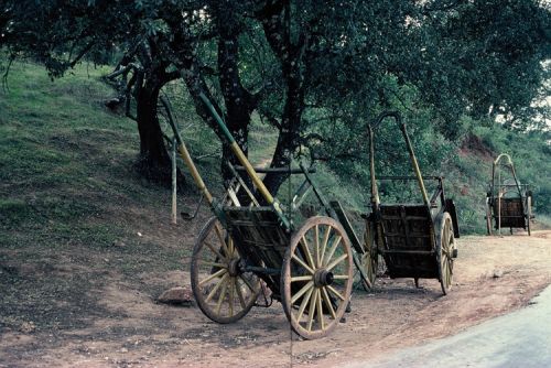 Fotografia de Nany da Costa - Galeria Fotografica: Algarve - Portugal - Foto: 