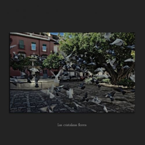 Fotografia de Sofa - Galeria Fotografica: Fuentes y palomas - Foto: 