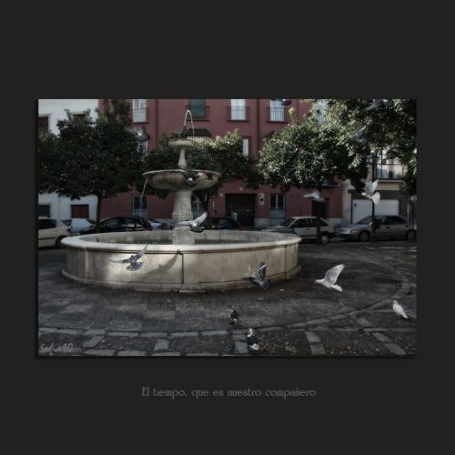 Fotografia de Sofa - Galeria Fotografica: Fuentes y palomas - Foto: 