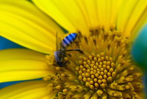 Fotografia de Lewi Moraes - Galeria Fotografica: Images del Brasil - Foto: 