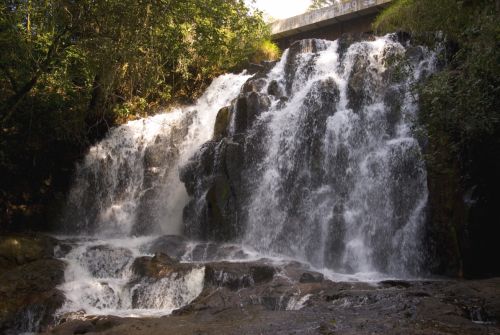 Fotografia de Lewi Moraes - Galeria Fotografica: Images del Brasil - Foto: 