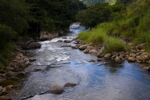 Fotografia de Lewi Moraes - Galeria Fotografica: Images del Brasil - Foto: 